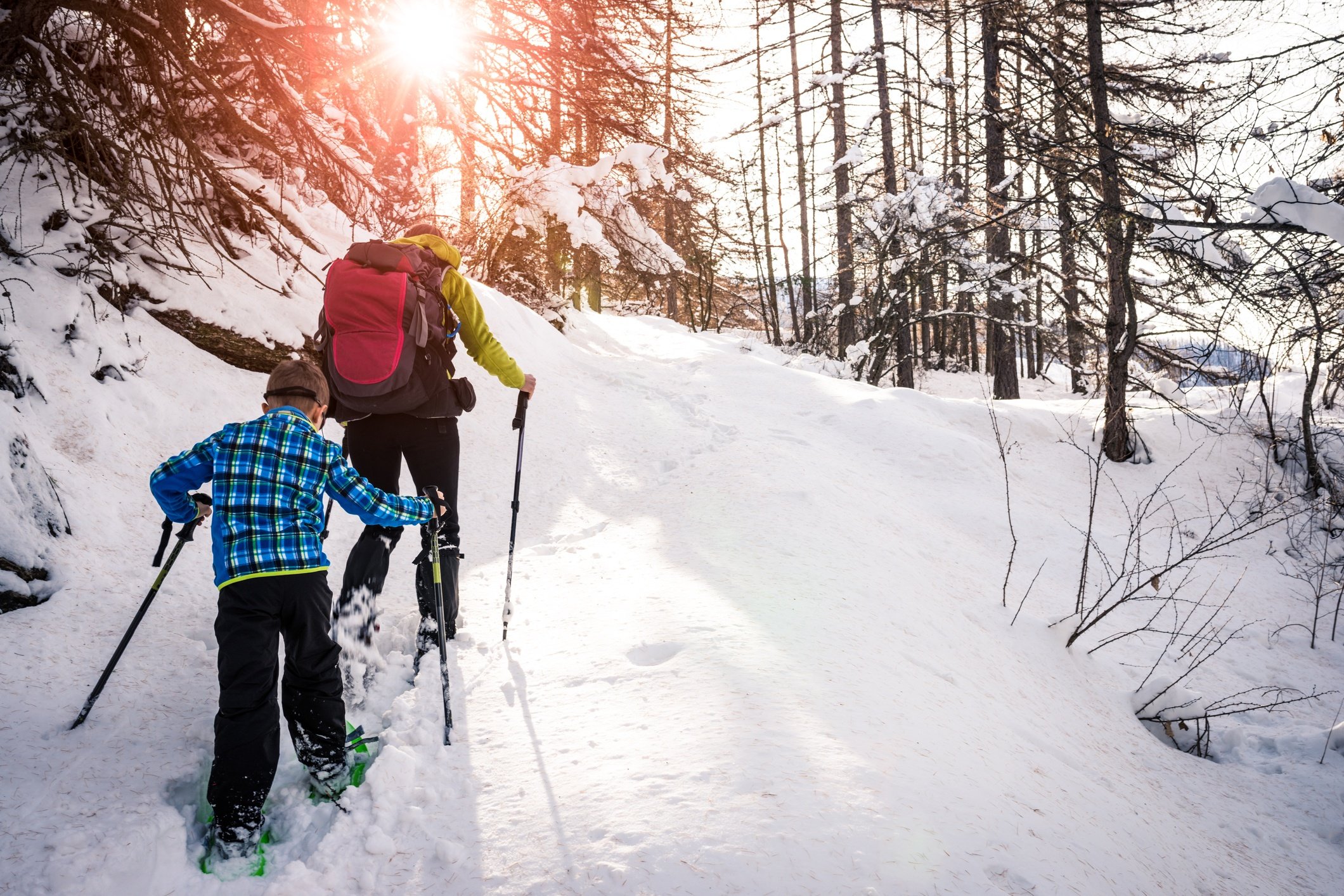 5 Majestic Snowshoe Trails in Yellowstone National Park 